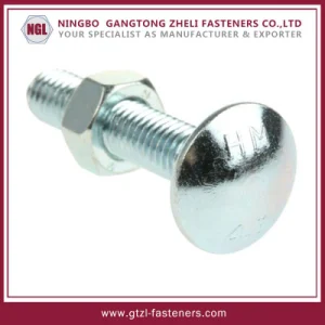 What is the purpose of a carriage bolt?