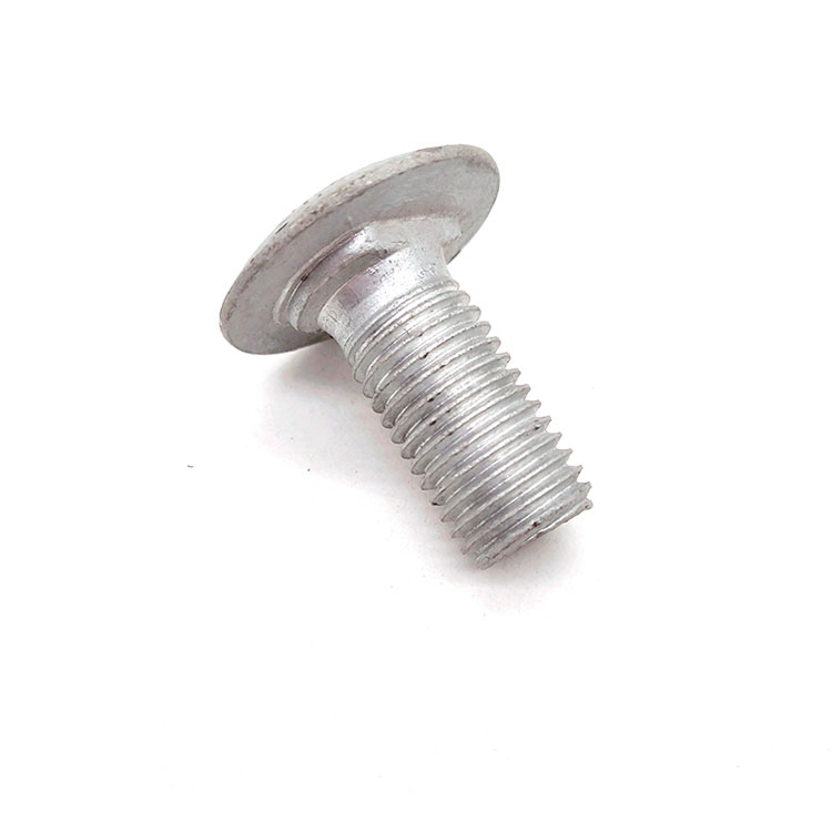 A2-70 Carbon Steel Hot Dip Galvanized Non-standard Round Head Short Square Neck Carriage Bolt