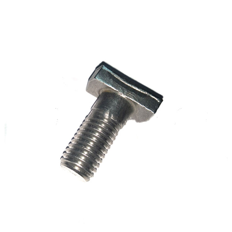 DIN261 Stainless Steel SS304 316 T Head Bolt