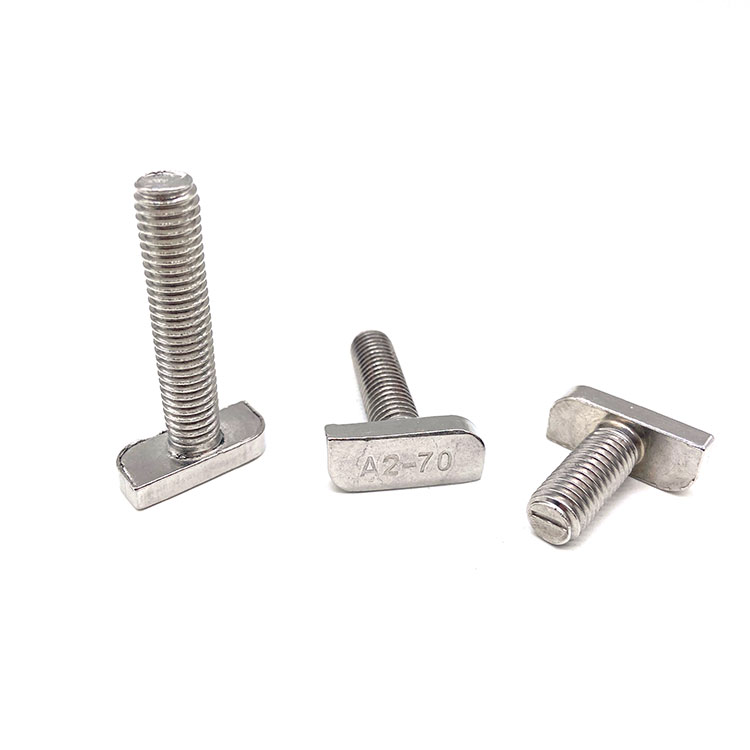 Fastener Stainless Steel 304 316 A2 T Shape Solt Bolt for Solar Energy