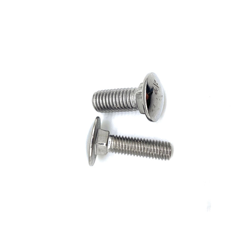 M6 M10 DIN603 INOX A4 Stainless Steel 314 316 INOX A2 Carriage Bolt