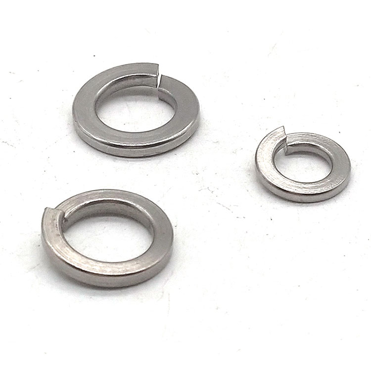 SS304 SS316 M6 M8 M12 M16 Stainless Steel Spring Washer