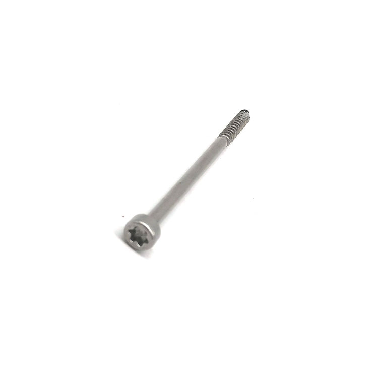 SS304 SS316 Stainless Steel Star Shaped Torx Socket/Countersunk Head/Pan Head Security Screw