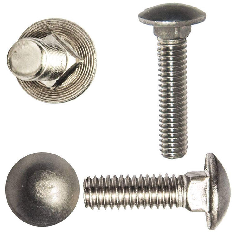 Stainless Steel Coach Bolts