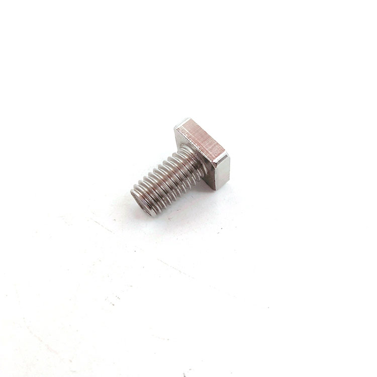 Stainless Steel SS201/304 Square Head Short T Bolt